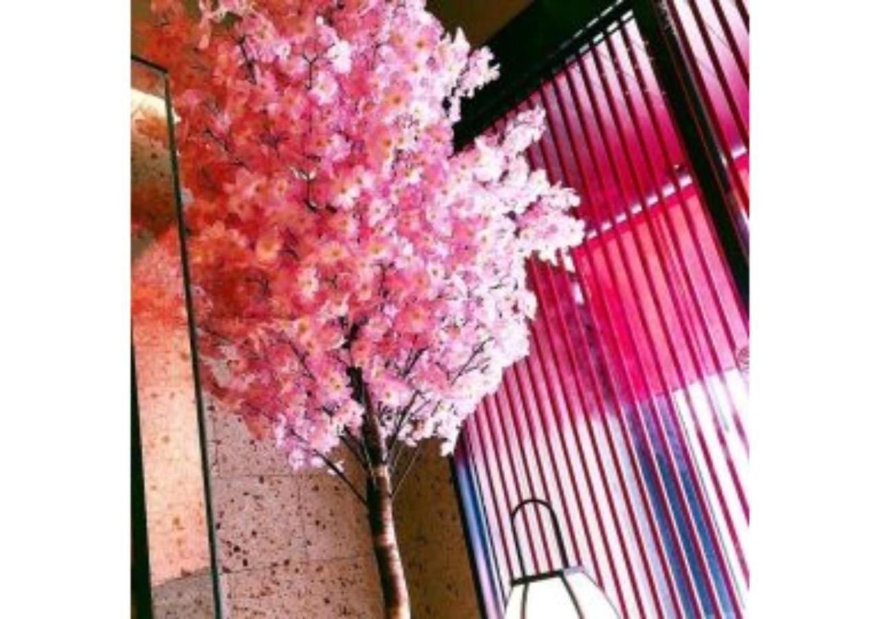 Sakura Sky Hotel - Vacation Stay 18444V Tokyo Bagian luar foto